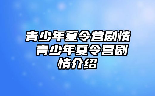 青少年夏令營劇情 青少年夏令營劇情介紹