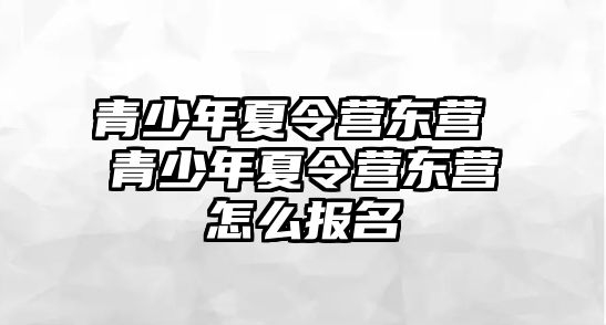 青少年夏令營東營 青少年夏令營東營怎么報(bào)名