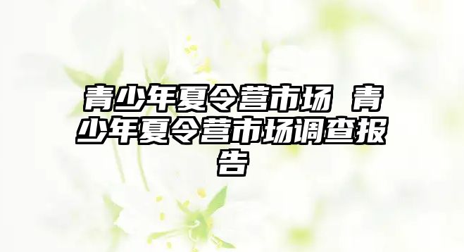 青少年夏令營市場 青少年夏令營市場調(diào)查報告