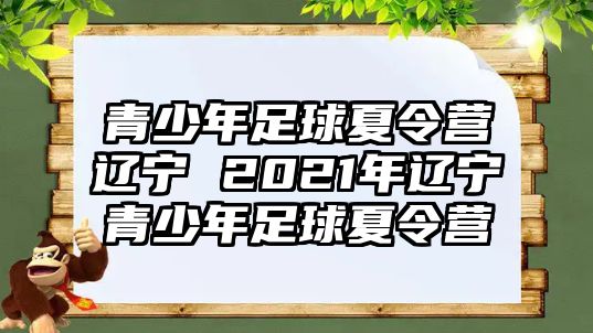 青少年足球夏令營遼寧 2021年遼寧青少年足球夏令營