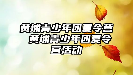 黃埔青少年團(tuán)夏令營(yíng) 黃埔青少年團(tuán)夏令營(yíng)活動(dòng)