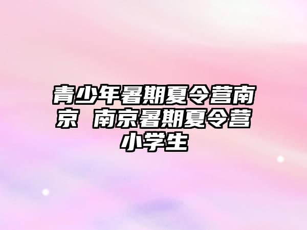 青少年暑期夏令營南京 南京暑期夏令營小學生