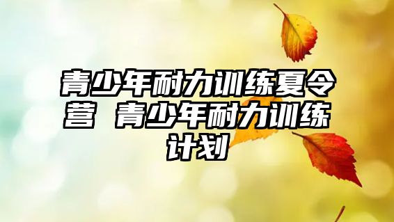 青少年耐力訓(xùn)練夏令營 青少年耐力訓(xùn)練計(jì)劃