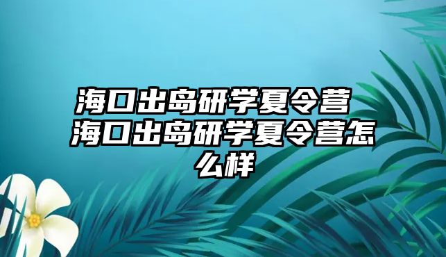 ?？诔鰨u研學夏令營 海口出島研學夏令營怎么樣