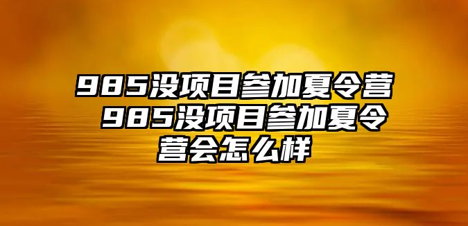 985沒項目參加夏令營 985沒項目參加夏令營會怎么樣