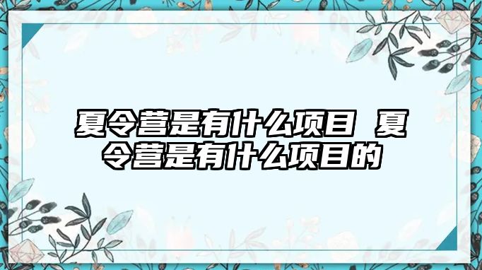 夏令營(yíng)是有什么項(xiàng)目 夏令營(yíng)是有什么項(xiàng)目的