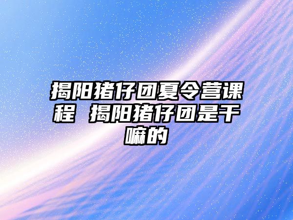 揭陽豬仔團夏令營課程 揭陽豬仔團是干嘛的