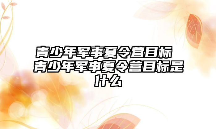 青少年軍事夏令營目標 青少年軍事夏令營目標是什么