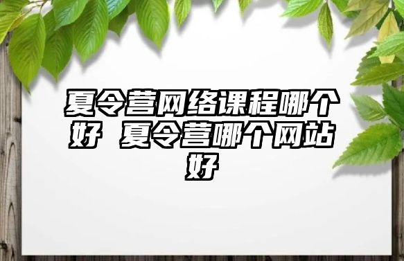 夏令營網(wǎng)絡(luò)課程哪個好 夏令營哪個網(wǎng)站好