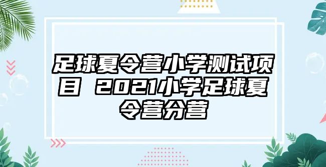 足球夏令營(yíng)小學(xué)測(cè)試項(xiàng)目 2021小學(xué)足球夏令營(yíng)分營(yíng)