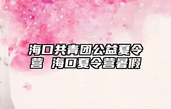 海口共青團公益夏令營 海口夏令營暑假