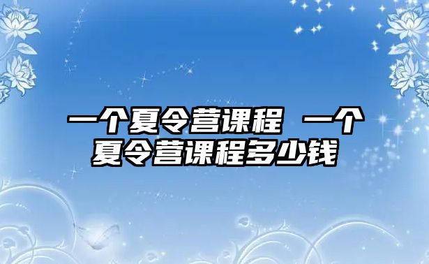 一個夏令營課程 一個夏令營課程多少錢