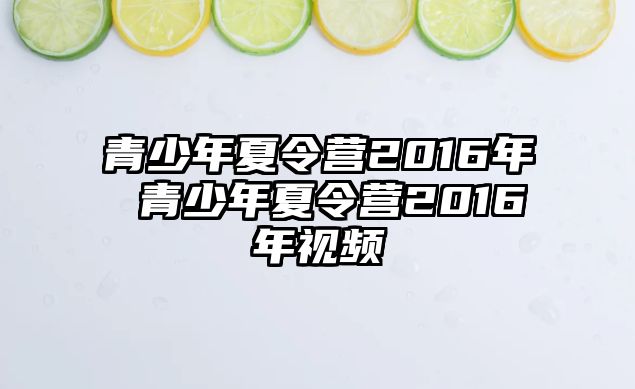 青少年夏令營2016年 青少年夏令營2016年視頻