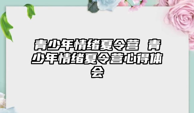 青少年情緒夏令營 青少年情緒夏令營心得體會