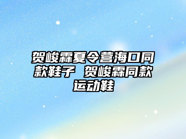 賀峻霖夏令營海口同款鞋子 賀峻霖同款運動鞋