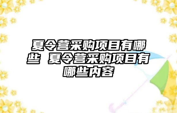 夏令營采購項目有哪些 夏令營采購項目有哪些內(nèi)容