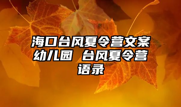 海口臺風夏令營文案幼兒園 臺風夏令營語錄