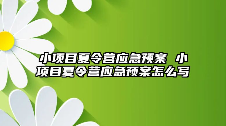 小項目夏令營應(yīng)急預案 小項目夏令營應(yīng)急預案怎么寫