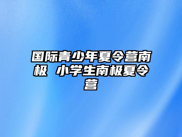 國際青少年夏令營南極 小學(xué)生南極夏令營