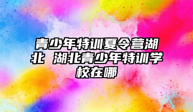 青少年特訓夏令營湖北 湖北青少年特訓學校在哪