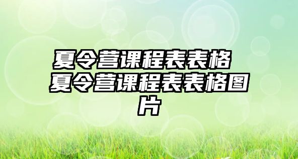 夏令營課程表表格 夏令營課程表表格圖片