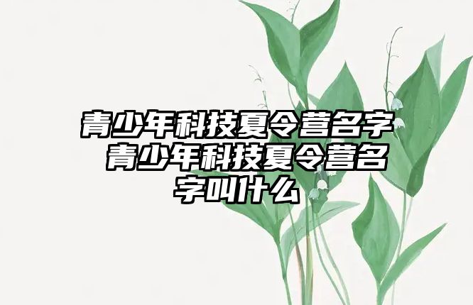 青少年科技夏令營名字 青少年科技夏令營名字叫什么