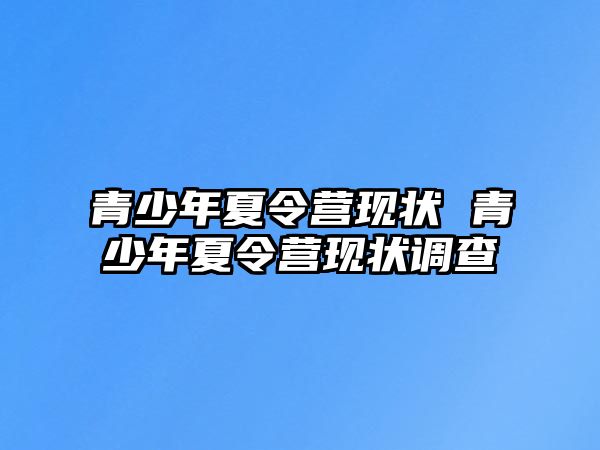 青少年夏令營現(xiàn)狀 青少年夏令營現(xiàn)狀調(diào)查