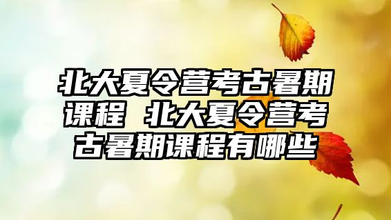 北大夏令營考古暑期課程 北大夏令營考古暑期課程有哪些