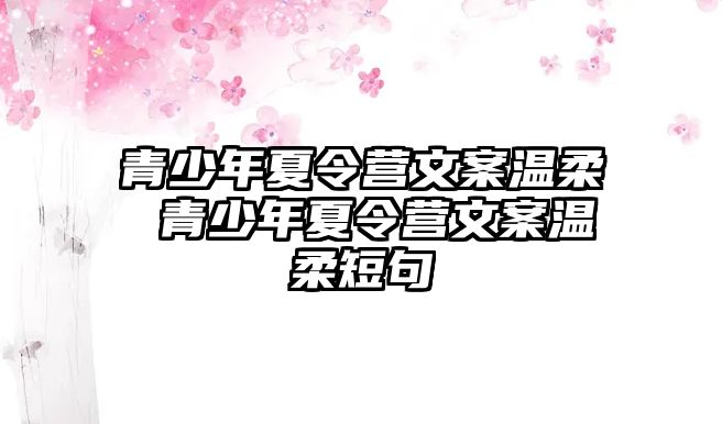 青少年夏令營文案溫柔 青少年夏令營文案溫柔短句