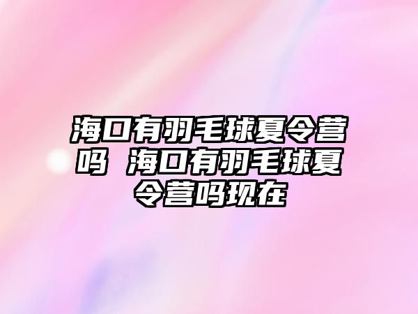 海口有羽毛球夏令營嗎 海口有羽毛球夏令營嗎現在