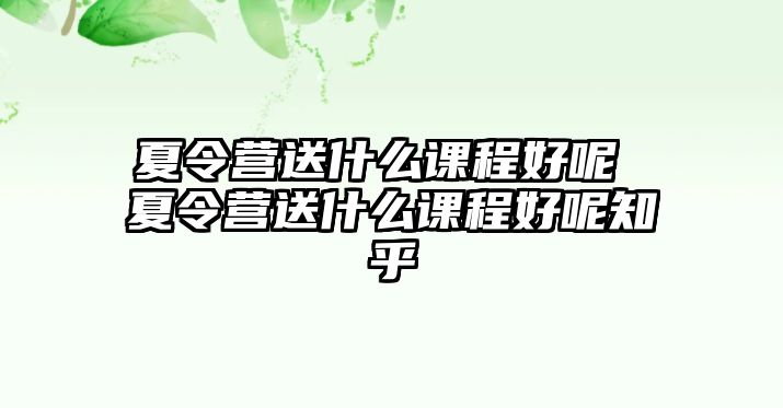 夏令營送什么課程好呢 夏令營送什么課程好呢知乎