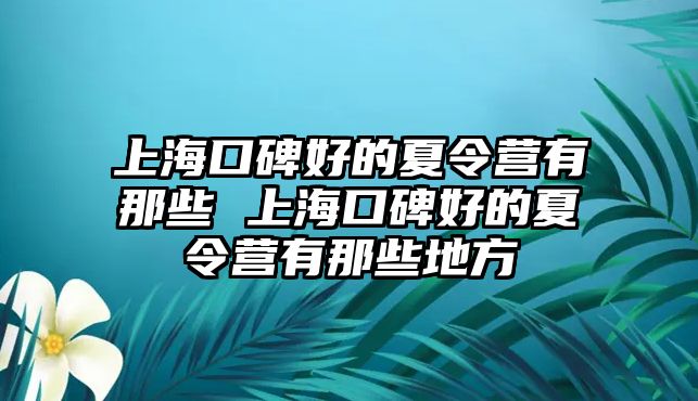 上海口碑好的夏令營有那些 上?？诒玫南牧顮I有那些地方