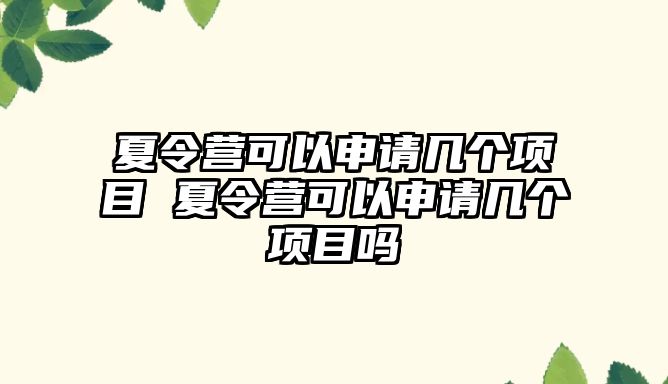 夏令營可以申請幾個項目 夏令營可以申請幾個項目嗎