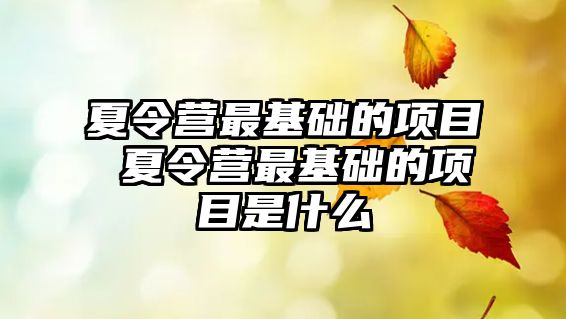 夏令營最基礎(chǔ)的項目 夏令營最基礎(chǔ)的項目是什么