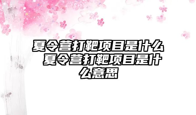 夏令營打靶項目是什么 夏令營打靶項目是什么意思