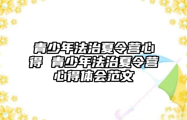 青少年法治夏令營心得 青少年法治夏令營心得體會范文