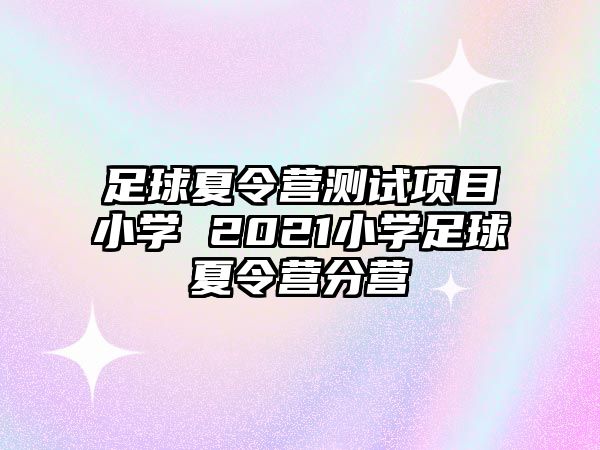 足球夏令營(yíng)測(cè)試項(xiàng)目小學(xué) 2021小學(xué)足球夏令營(yíng)分營(yíng)