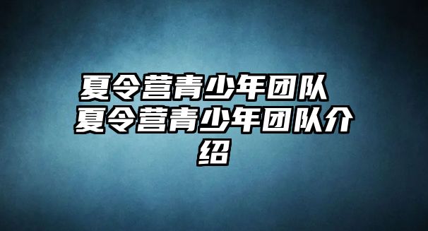 夏令營青少年團(tuán)隊(duì) 夏令營青少年團(tuán)隊(duì)介紹