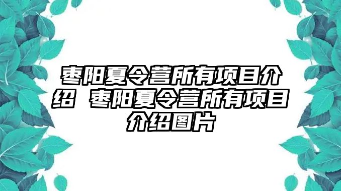 棗陽夏令營所有項目介紹 棗陽夏令營所有項目介紹圖片