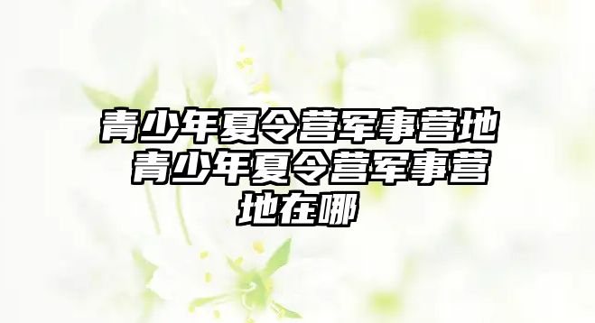 青少年夏令營軍事營地 青少年夏令營軍事營地在哪