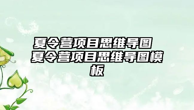 夏令營項(xiàng)目思維導(dǎo)圖 夏令營項(xiàng)目思維導(dǎo)圖模板