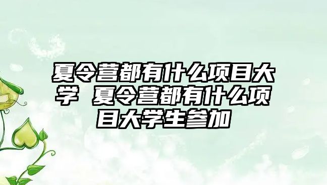 夏令營都有什么項目大學 夏令營都有什么項目大學生參加