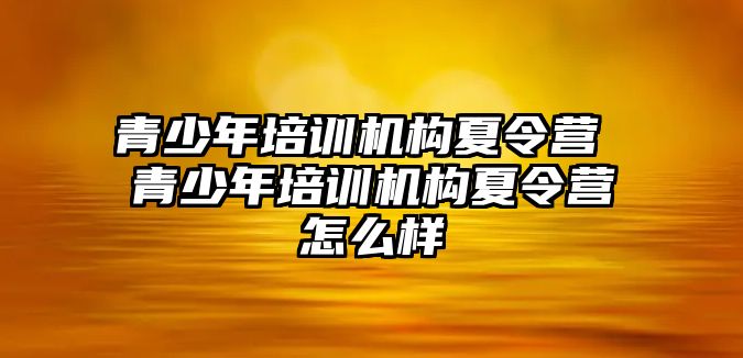 青少年培訓(xùn)機(jī)構(gòu)夏令營 青少年培訓(xùn)機(jī)構(gòu)夏令營怎么樣