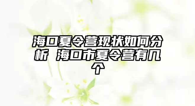 海口夏令營現狀如何分析 海口市夏令營有幾個