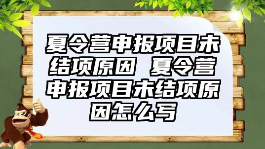 夏令營申報項目未結項原因 夏令營申報項目未結項原因怎么寫