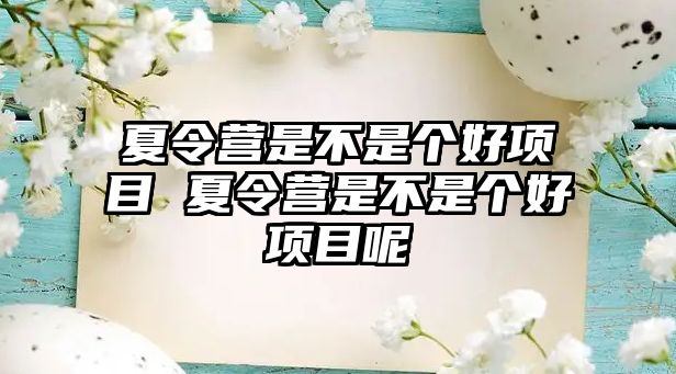 夏令營是不是個好項目 夏令營是不是個好項目呢