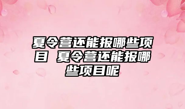 夏令營還能報哪些項目 夏令營還能報哪些項目呢