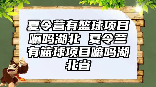 夏令營有籃球項目嘛嗎湖北 夏令營有籃球項目嘛嗎湖北省