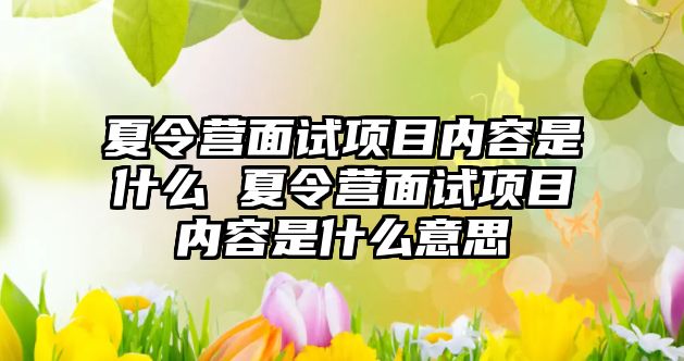 夏令營面試項目內容是什么 夏令營面試項目內容是什么意思