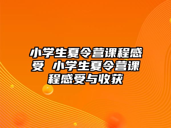 小學生夏令營課程感受 小學生夏令營課程感受與收獲